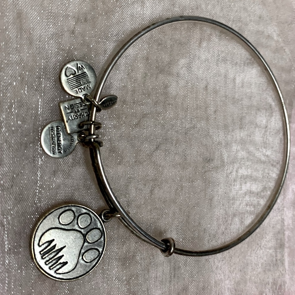 Alex and Ani bracelet